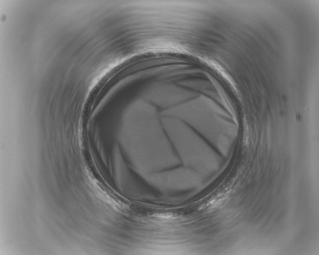 X0000059080391200511041827