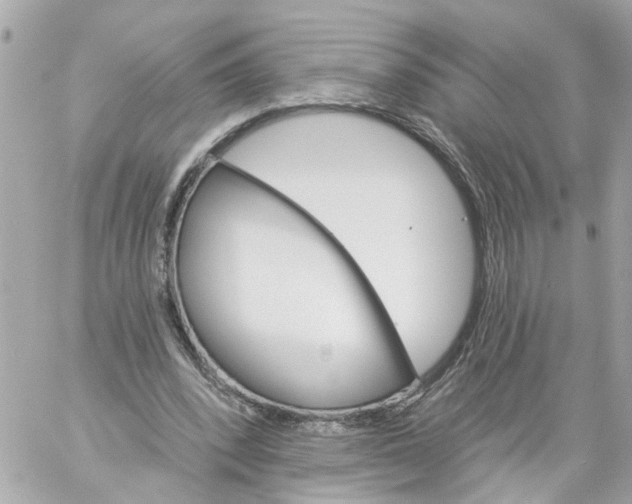 X0000059080392200511041827