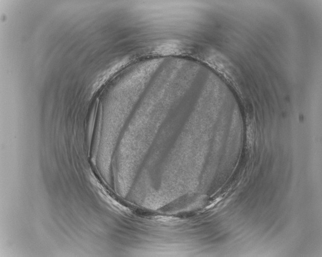 X0000059080393200511041827