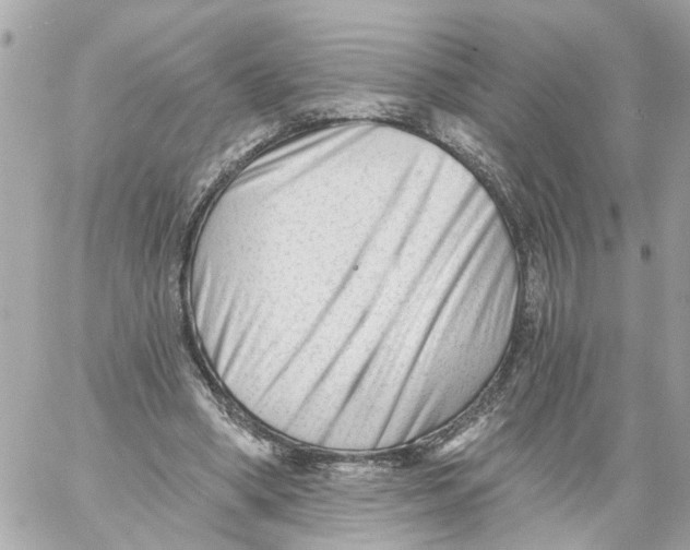 X0000059080394200511041827