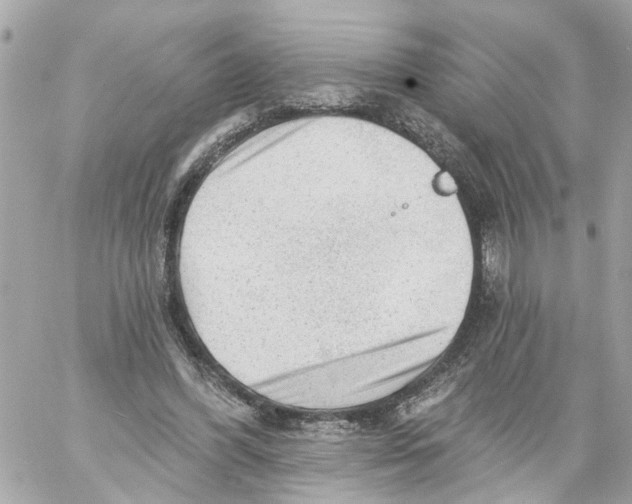 X0000059080396200511041827