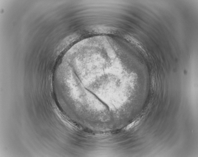 X0000059080398200511041827