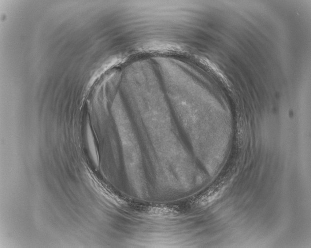 X0000059080399200511041826