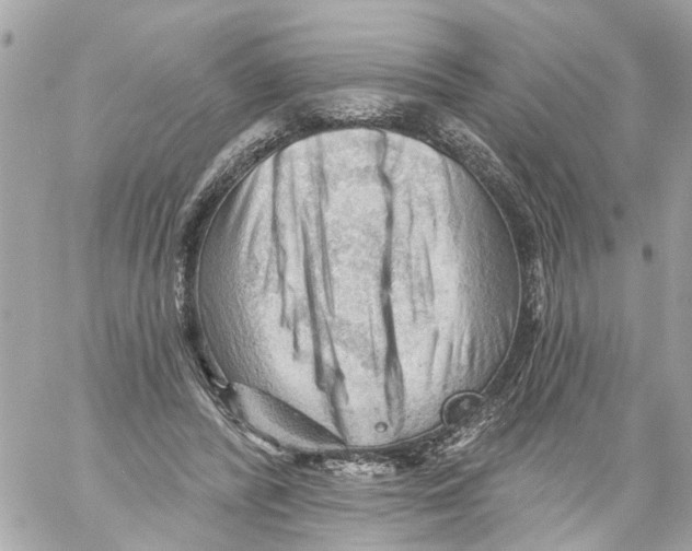 X0000059080400200511041826