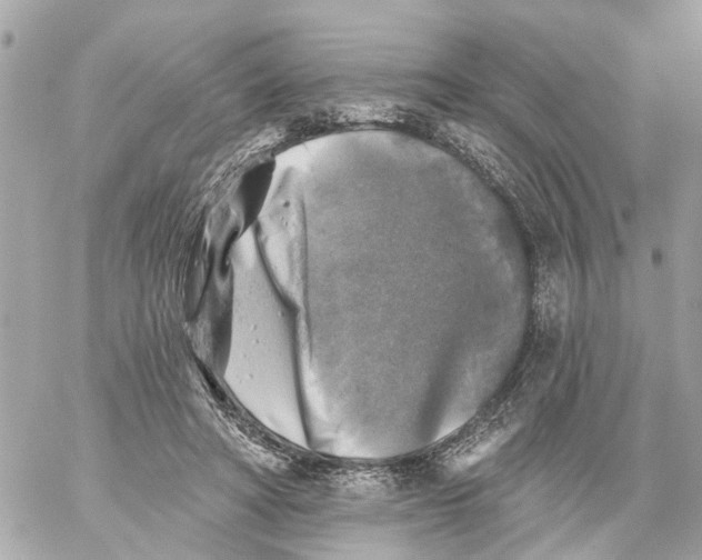 X0000059080402200511041826