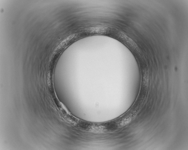 X0000059080403200511041826