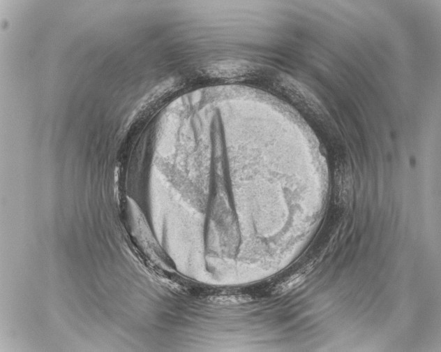 X0000059080404200511041826