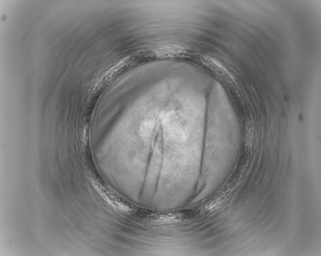 X0000059080405200511041826