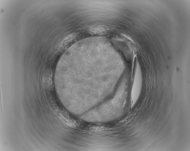 X0000059080408200511041826