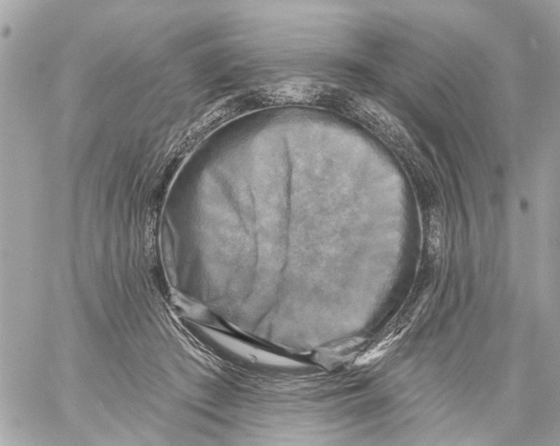 X0000059080409200511041826