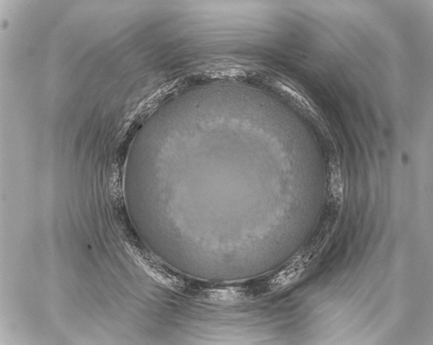 X0000059080411200511041826