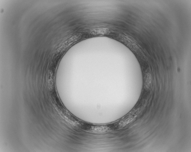 X0000059080414200511041826