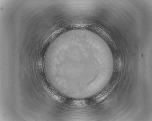 X0000059080415200511041826