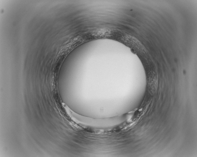 X0000059080416200511041826