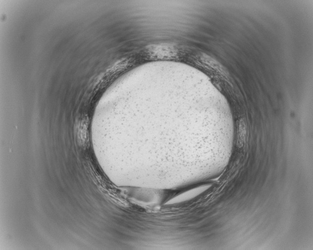 X0000059080417200511041826