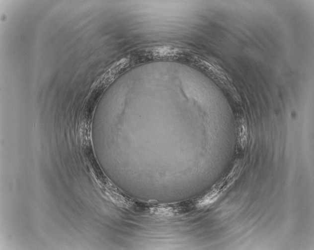 X0000059080419200511041826