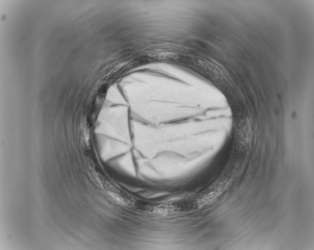 X0000059080420200511041826