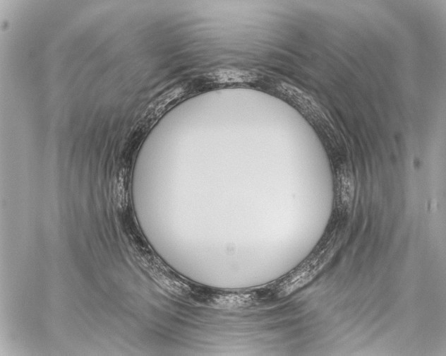 X0000059080422200511041826