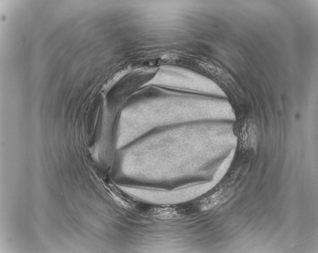 X0000059080424200511041826