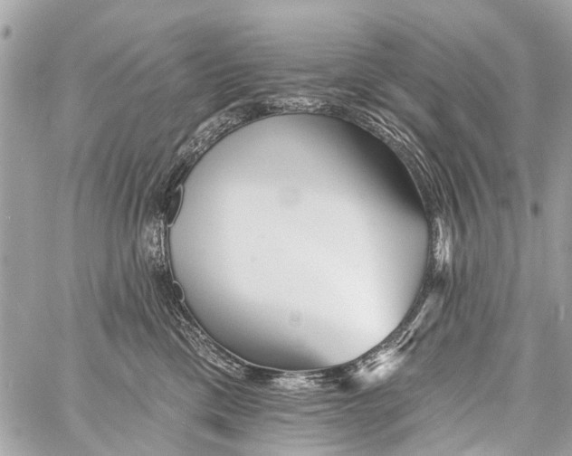 X0000059080425200511041826