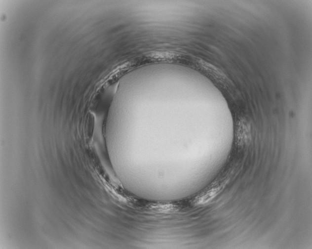 X0000059080428200511041826