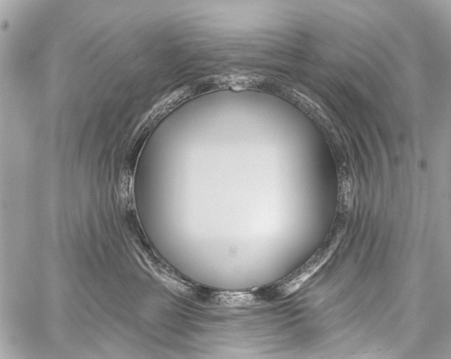 X0000059080429200511041826