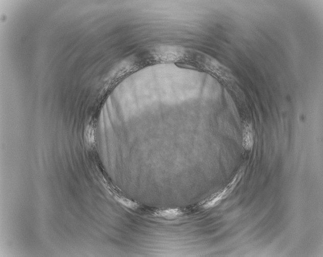 X0000059080431200511041826