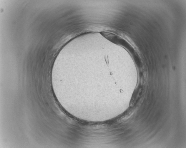 X0000059080433200511041825