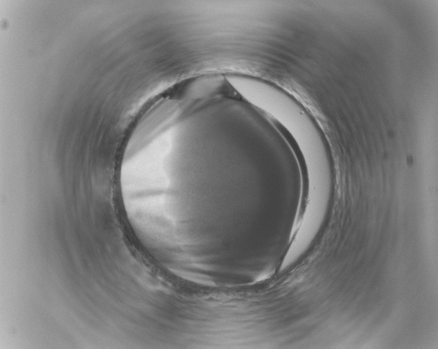 X0000059080434200511041825