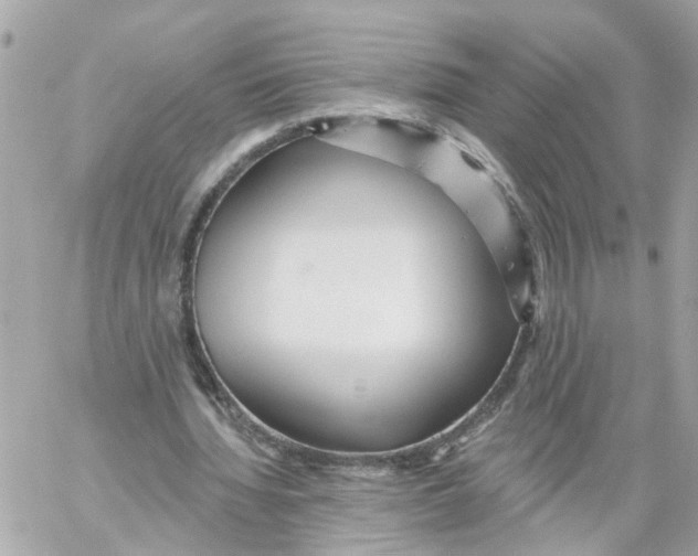 X0000059080436200511041825