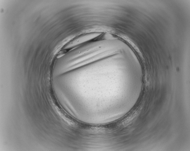 X0000059080437200511041825