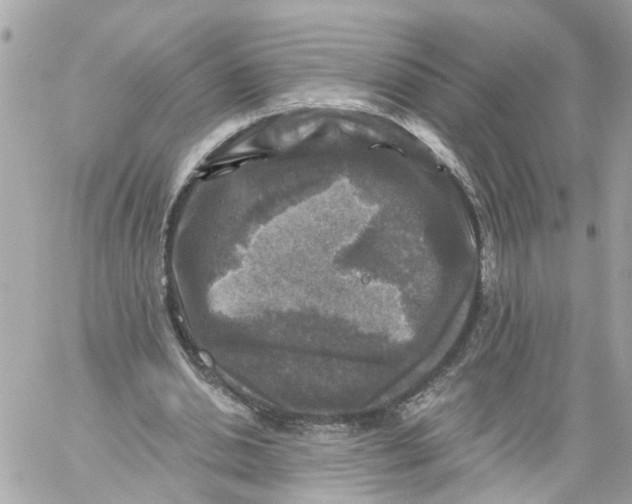 X0000059080438200511041825