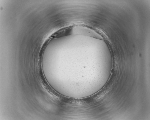 X0000059080439200511041825