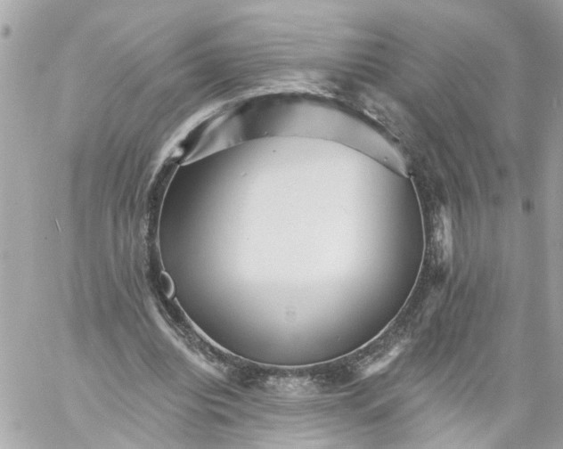 X0000059080440200511041825