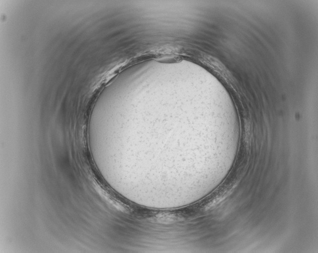 X0000059080441200511041825