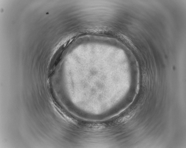 X0000059080443200511041825