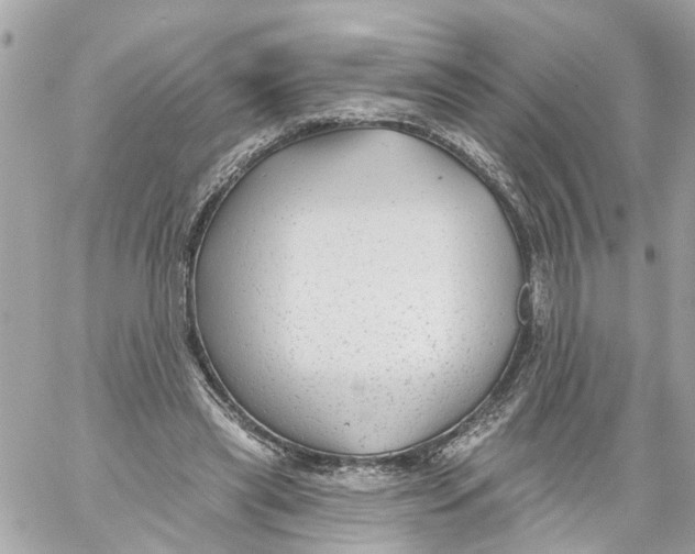 X0000059080445200511041825