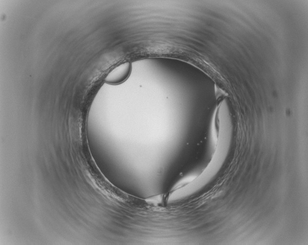 X0000059080446200511041825