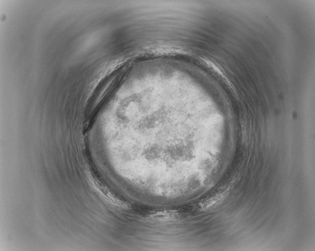 X0000059080447200511041825