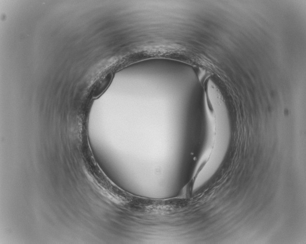 X0000059080448200511041825