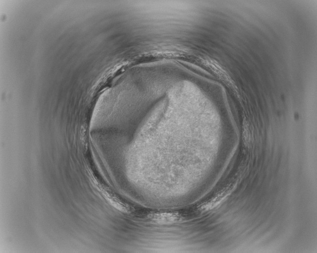 X0000059080449200511041825