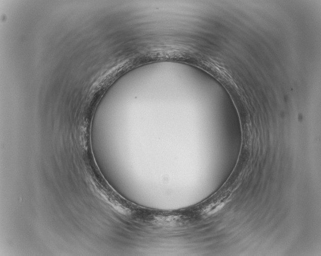 X0000059080450200511041825