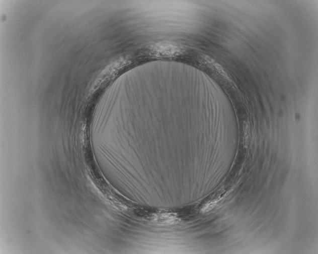 X0000059080451200511041825