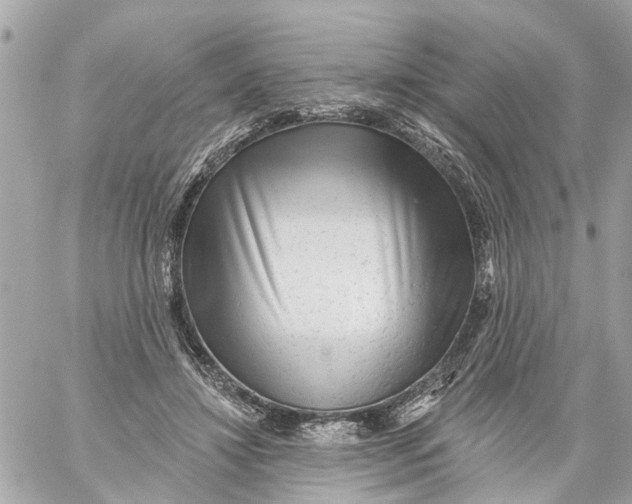 X0000059080452200511041825