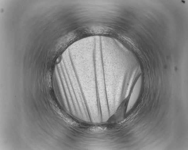 X0000059080453200511041825