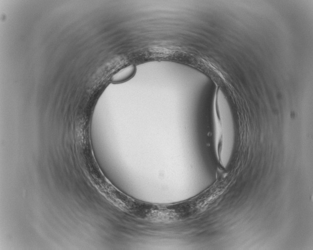 X0000059080455200511041826