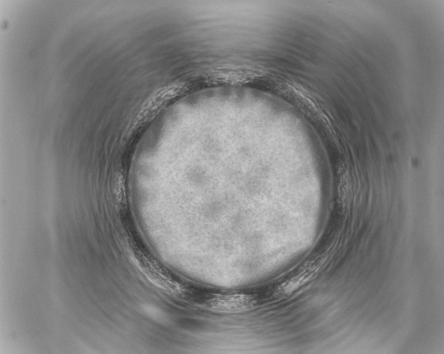 X0000059080459200511041826