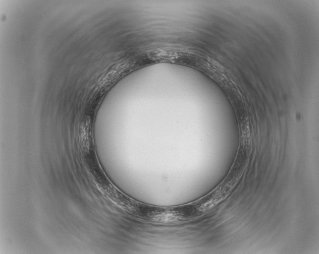 X0000059080460200511041826