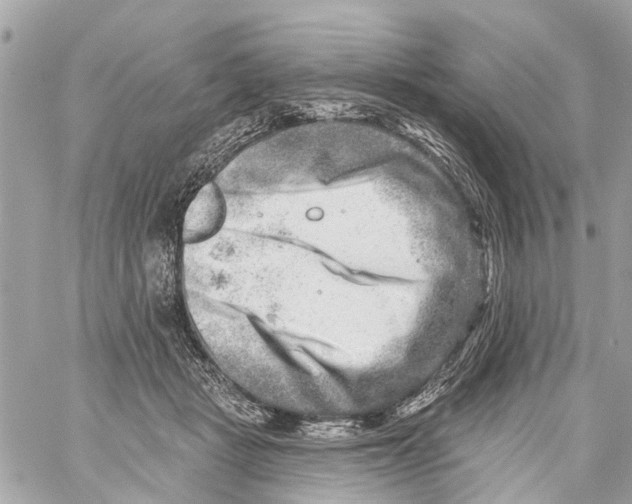 X0000059080461200511041826