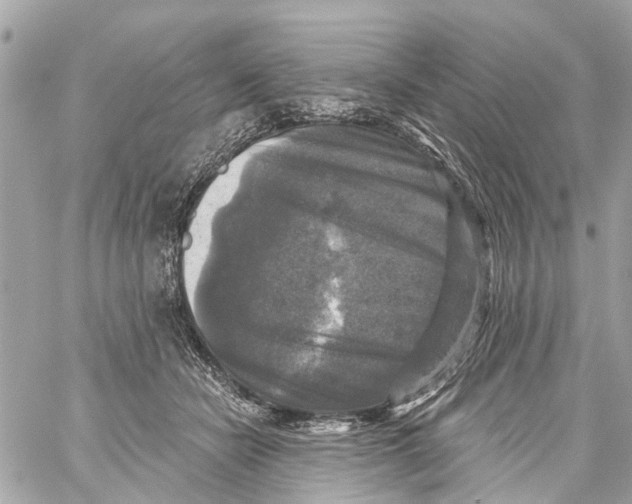 X0000059080462200511041826